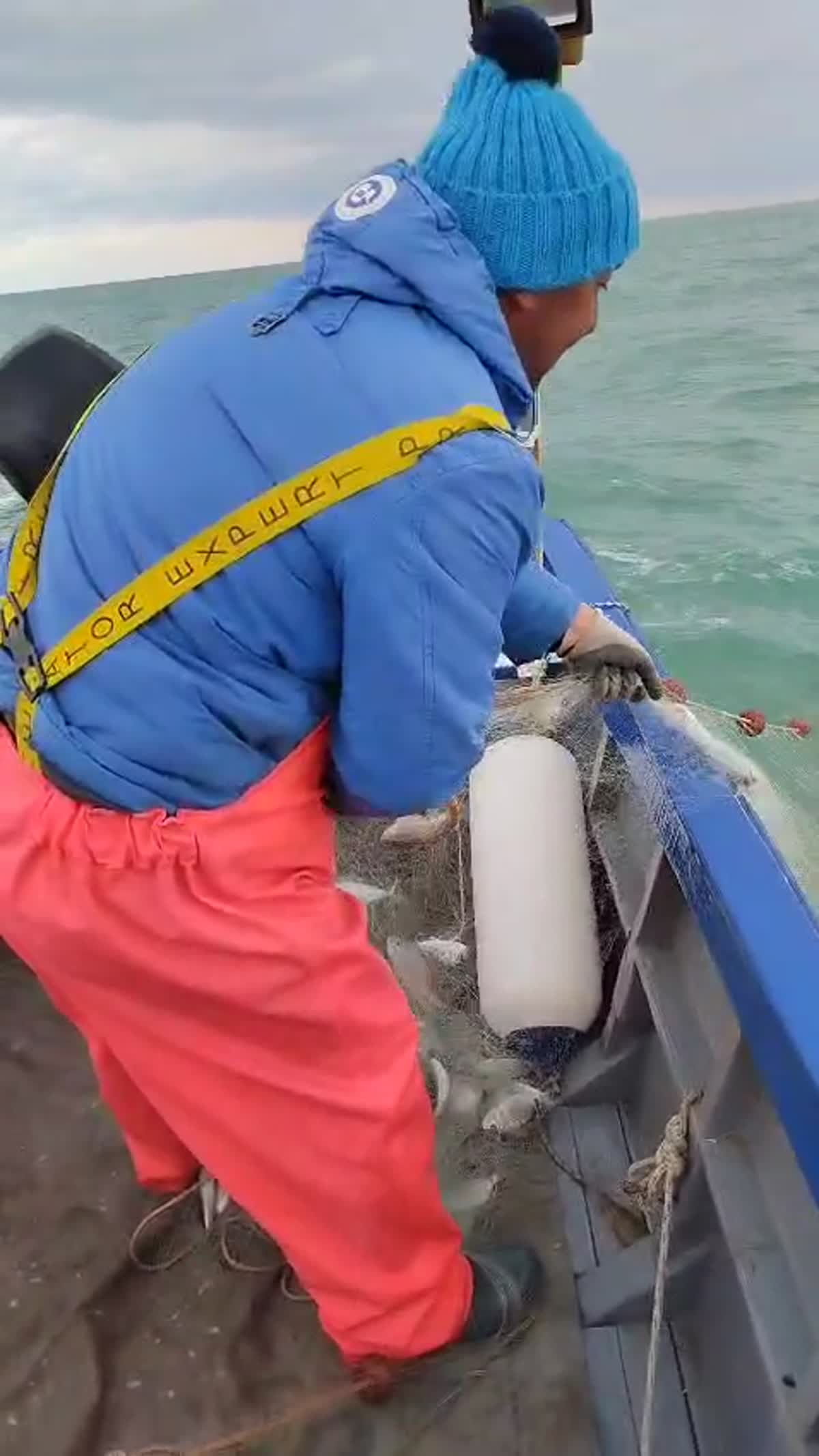 Pesca con le reti